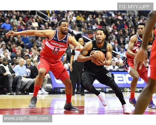 森森狼与黄蜂精彩对决全场录像回放及赛后分析